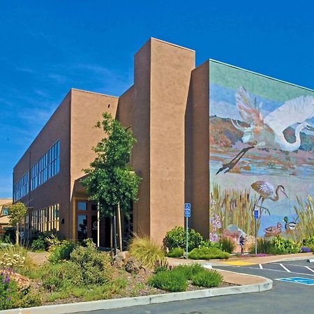 Doubletree By Hilton Napa Valley - American Canyon Zewnętrze zdjęcie